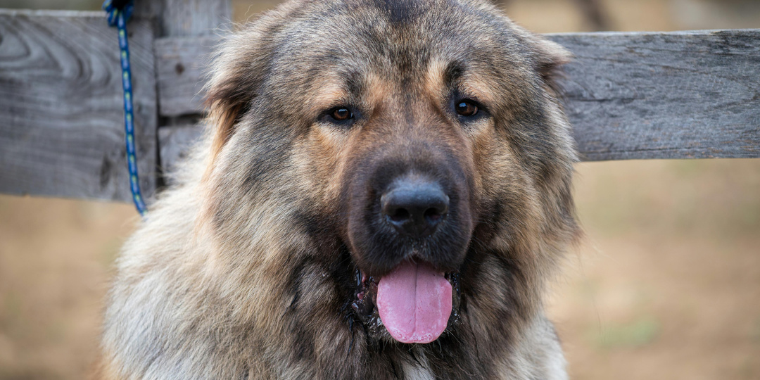 Заклятые враги