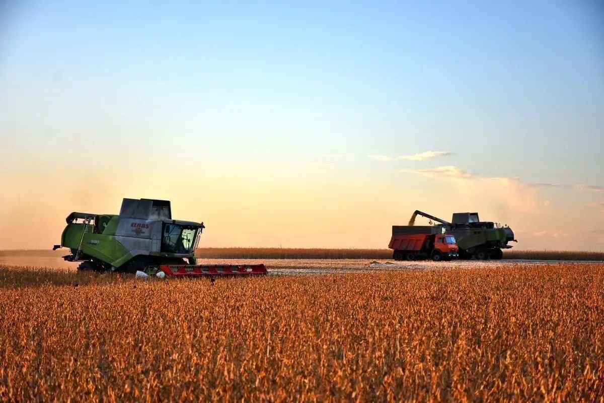    Фото из телеграм-канала Павла Малкова