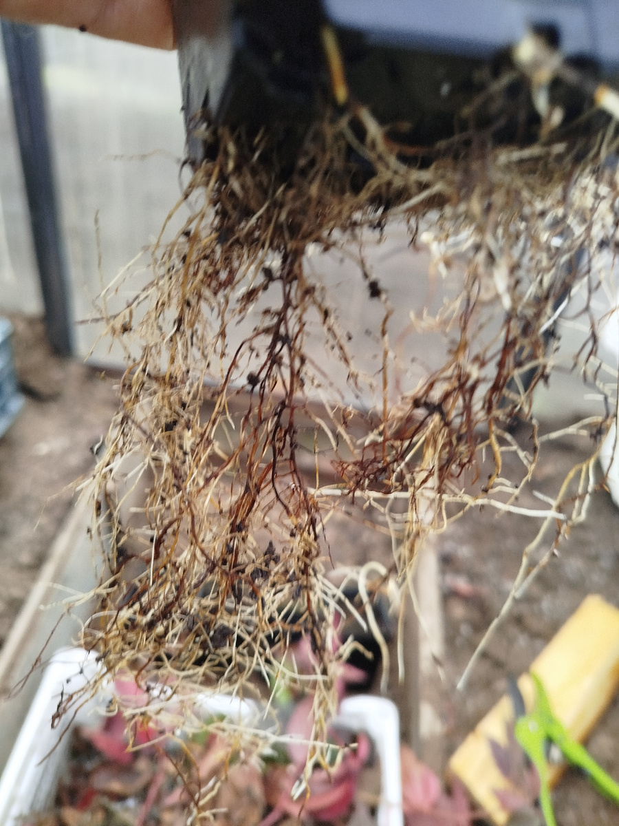 Есть и побольше.