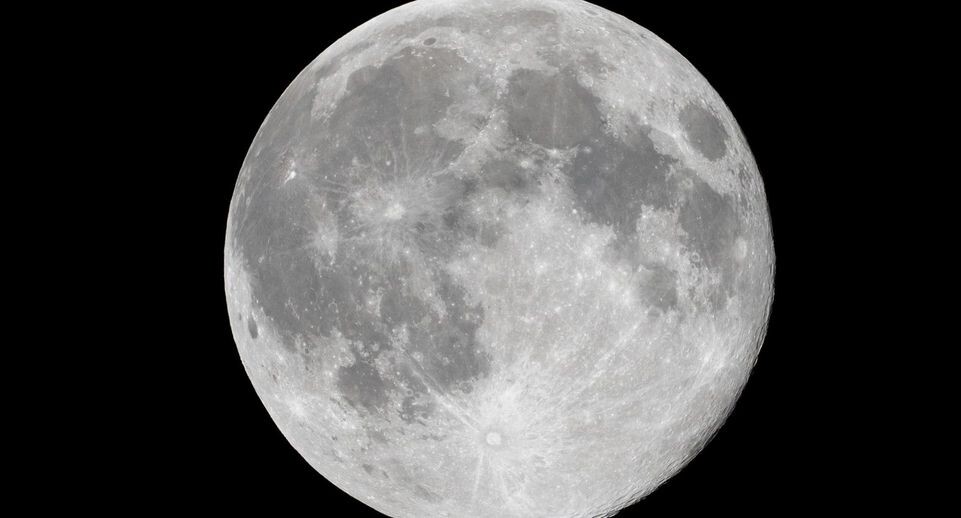    Soeren Stache/dpa / www.globallookpress.com