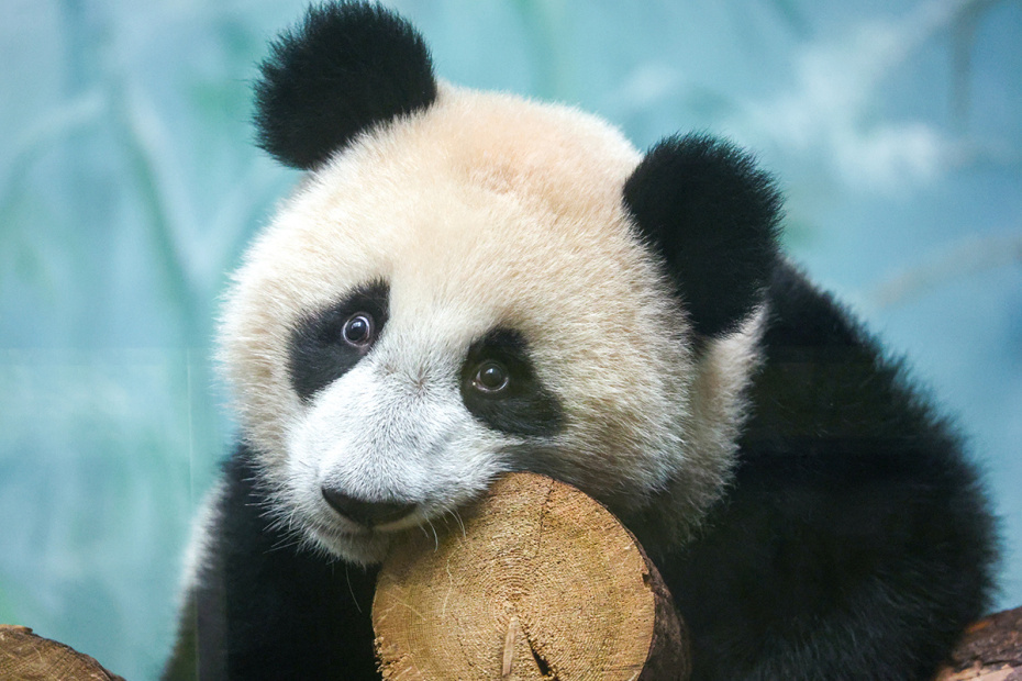    Сергей Петров/NEWS.ru