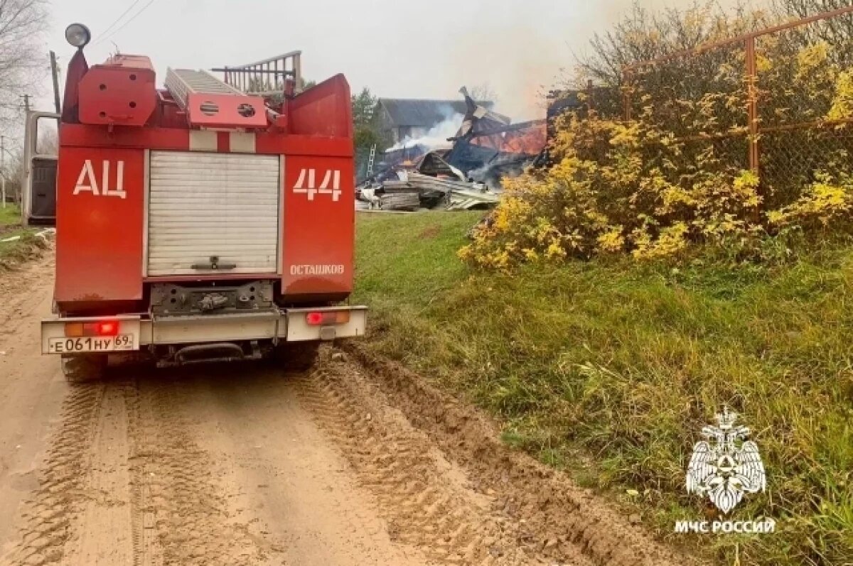    В Осташковском округе при пожаре пострадал владелец дома