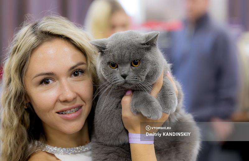    Фото: Дмитрий Кандинский / vtomske.ru