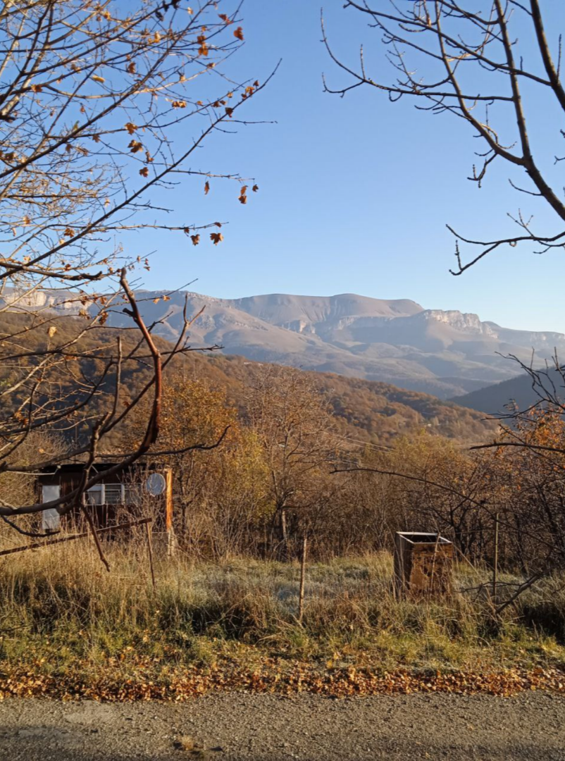 Хэллоуинское утро задалось - солнце, холодно, но так ярко и ясно, что больно дышать. Как же я люблю этот свет и цвет, это старое золото листвы и вечно юное армянское небо... Идеальный союз.