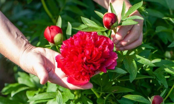 Чудо, как красиво.