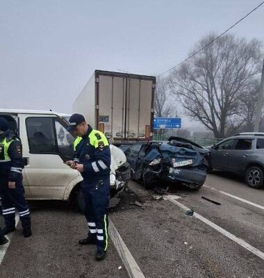   Фото: телеграм-канал Александра Хинштейна