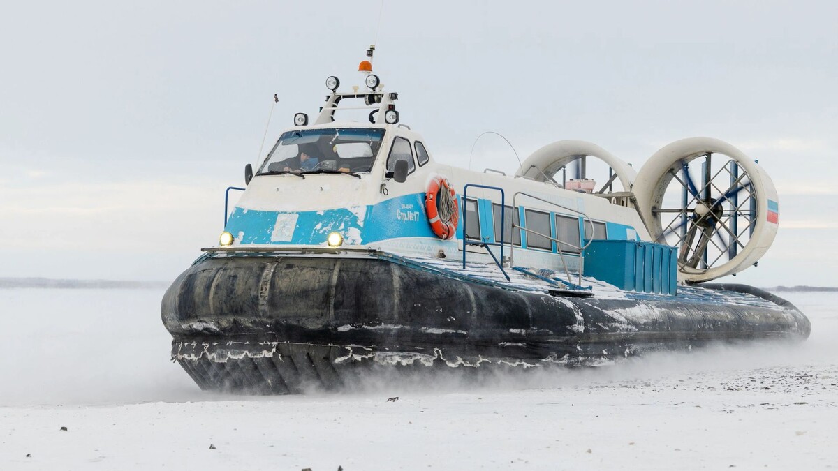    Фото: Федор Воронов / «Ямал-Медиа»