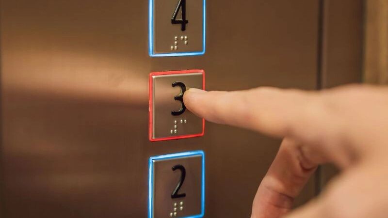    Фото: Elizaveta Galitckaia/Shutterstock/Fotodom