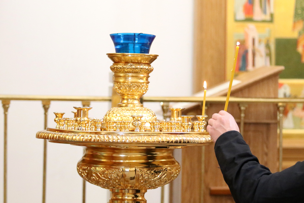 фото:Maksim Konstantinov/Global Look Press