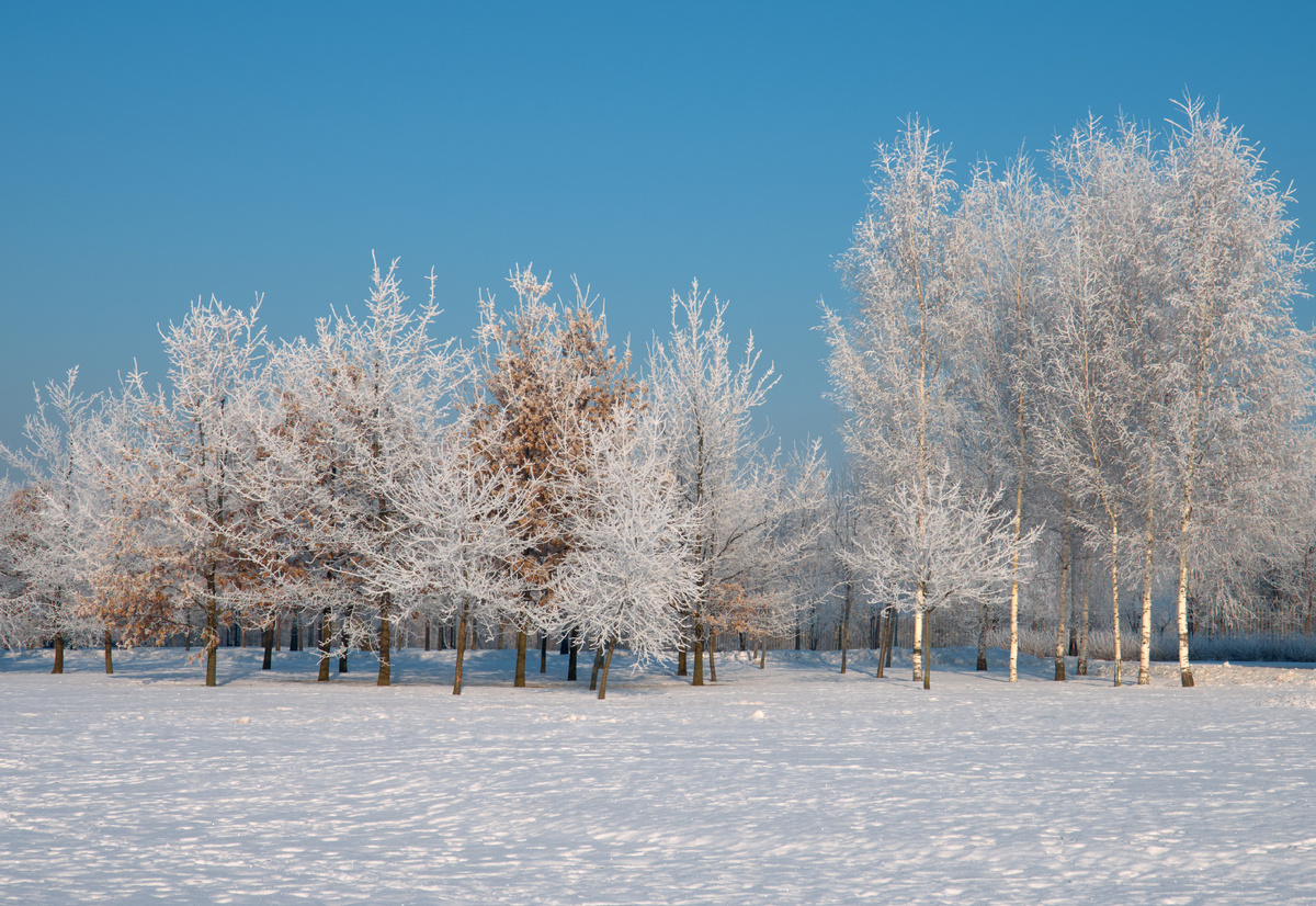 фото:Aleksander Grishin/Global Look Press