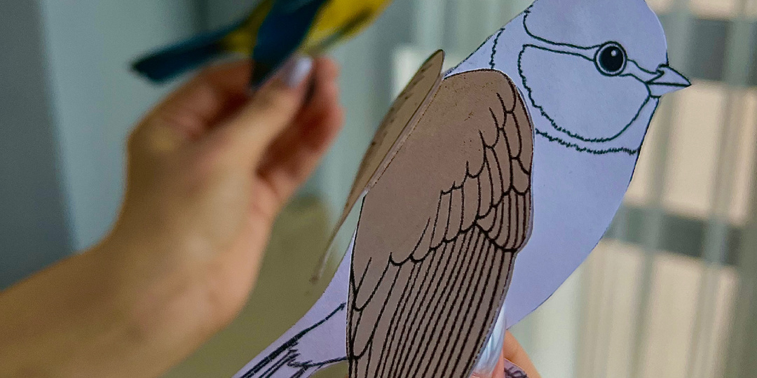 Бесплатная 3д поделка к «Синичкиному дню» 2025