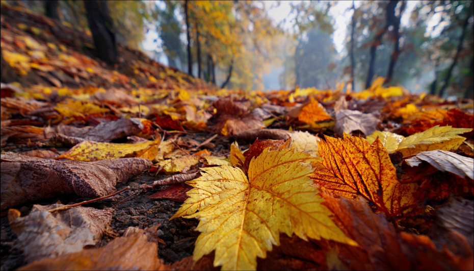    Сгенерировано в Midjourney/NEWS.ru