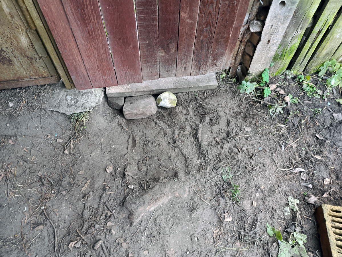 Доска под калиткой