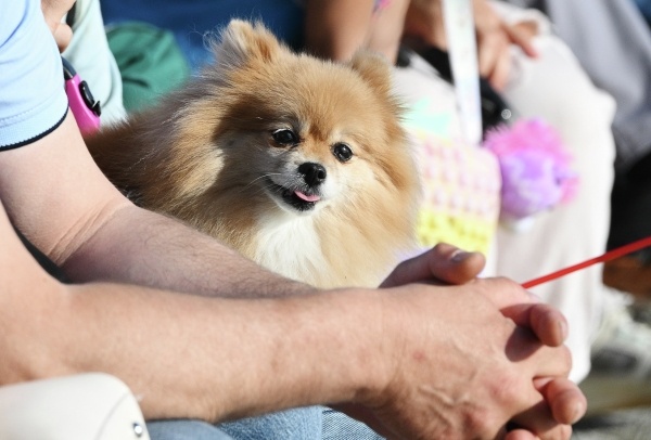 Фото: РИА Новости/Екатерина Лызлова