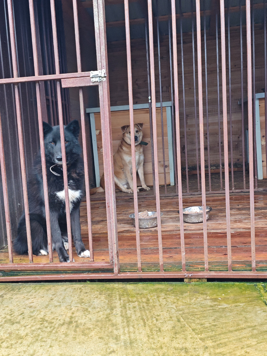 Никуся и Кай💔