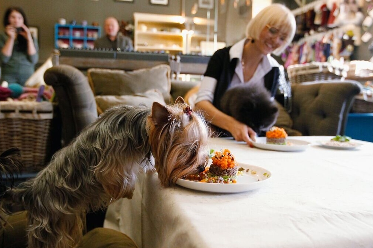    Фото: Руслан Кривобок, источник: ria.ru