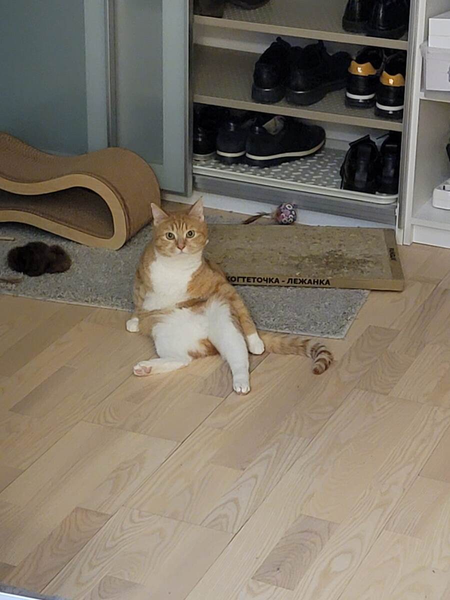 Эта поза сидеть всегда в приоритете ещё с приюта ) 