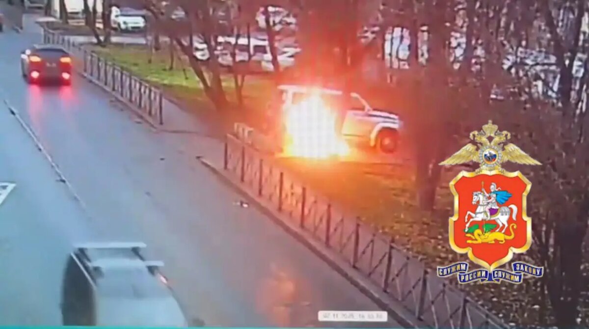    Фото: скриншот из видео пресс-службы ГУ МВД России по Московской области