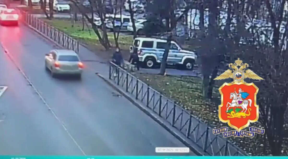    Фото: скриншот из видео пресс-службы ГУ МВД России по Московской области