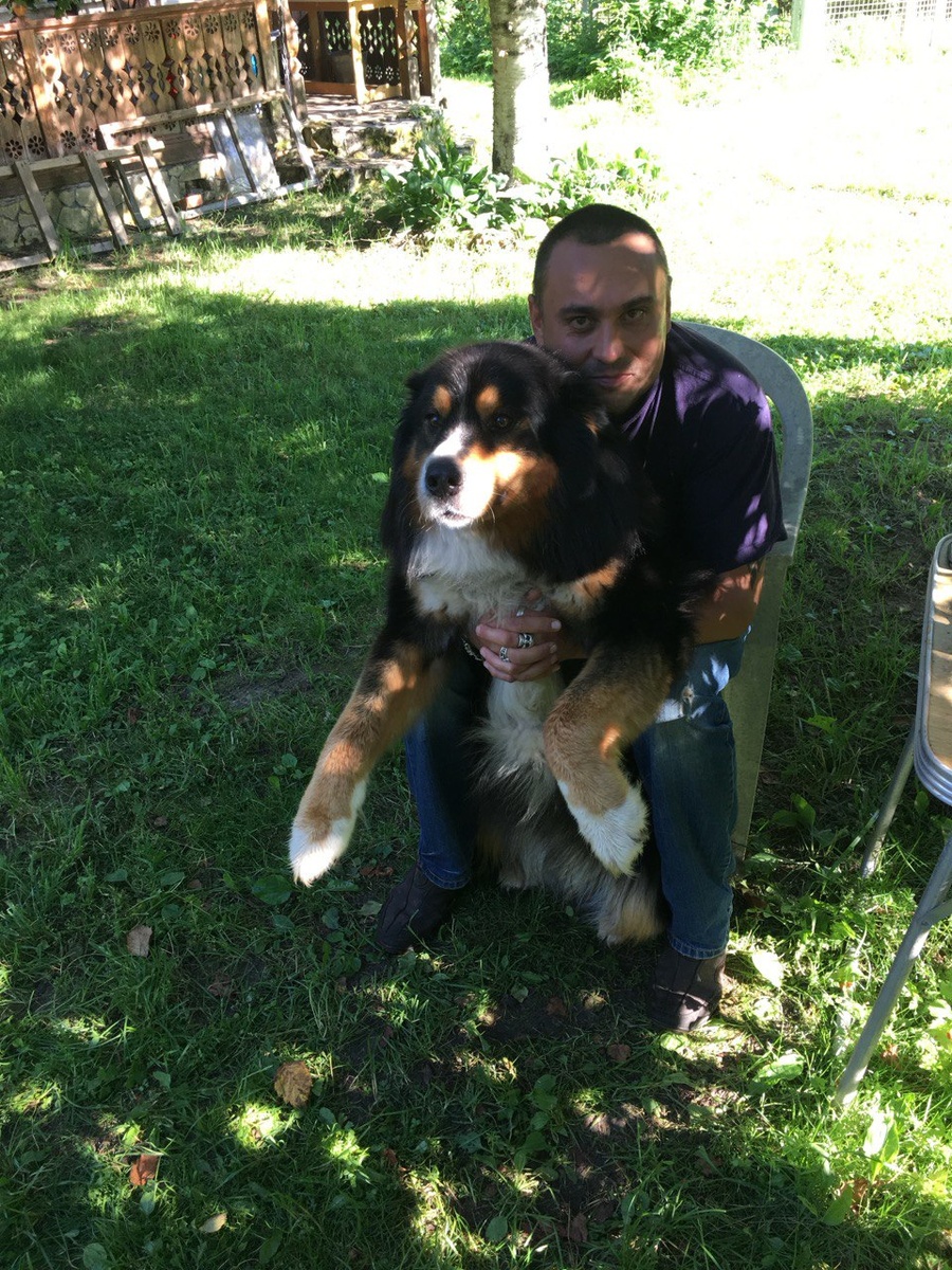 Любимка Сэм