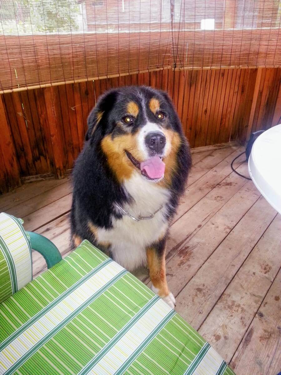 Спокойная уверенность.