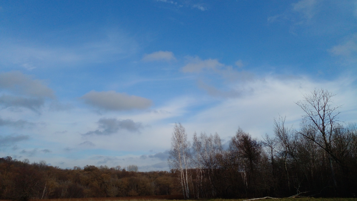 Ну чем не весна!🤗