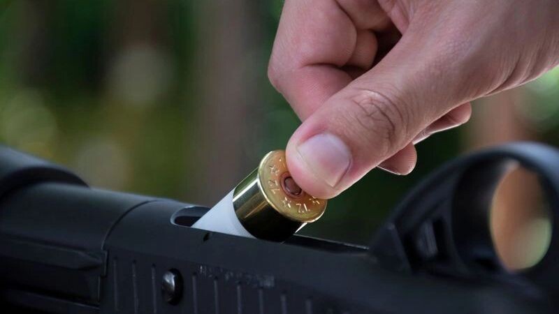    Фото: Sophon Nawit/Shutterstock/Fotodom