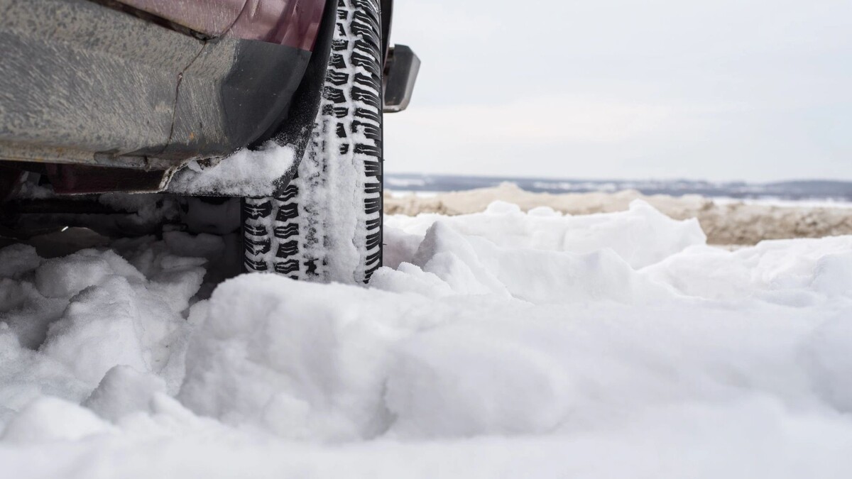    Фото: Антон Папулов/Shutterstock/Fotodom