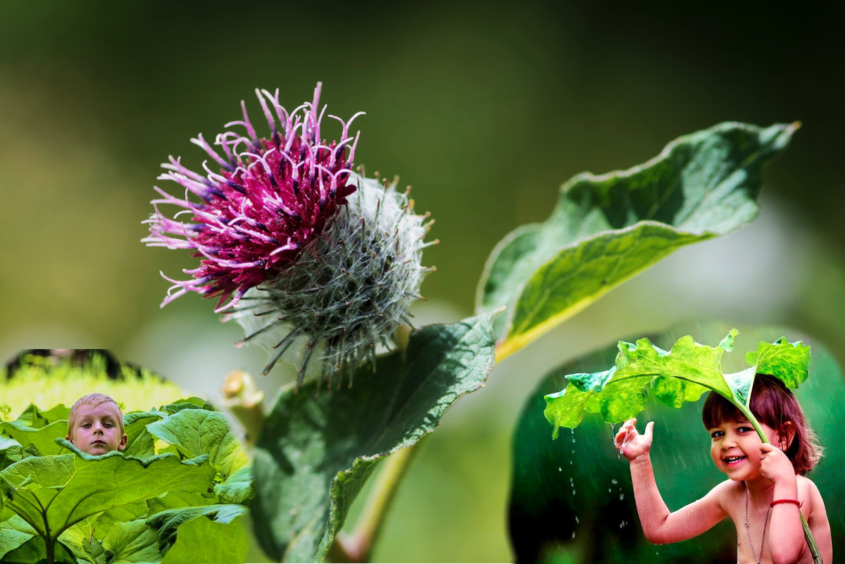 Фото с просторов всемирной паутины.