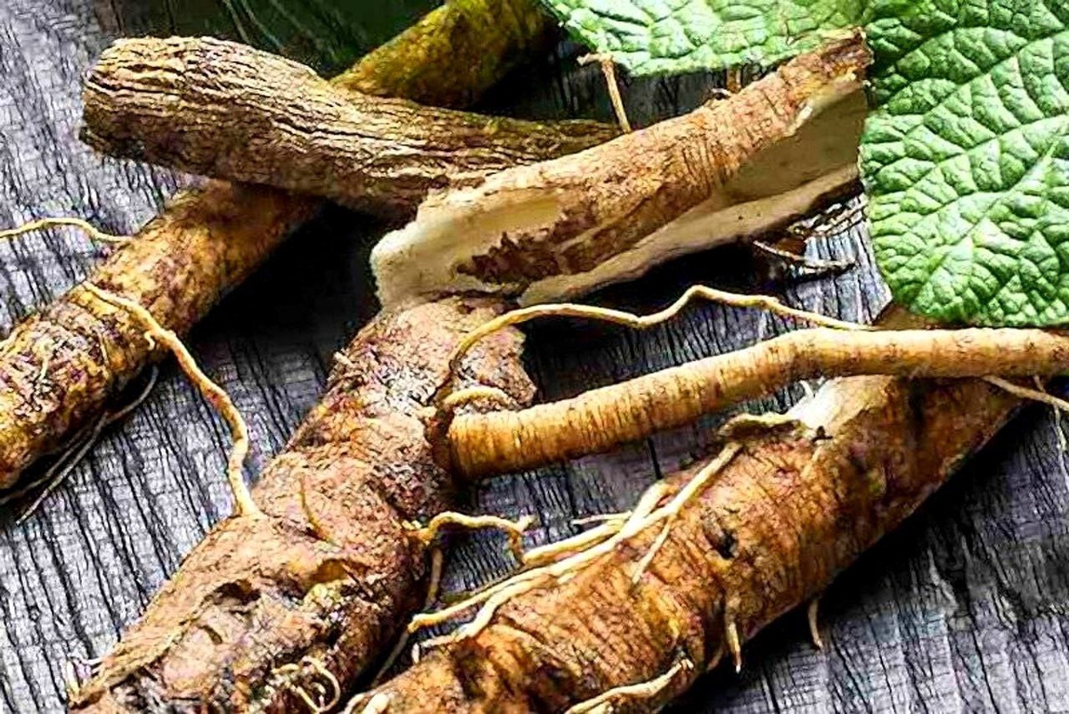 Фото с просторов всемирной паутины.