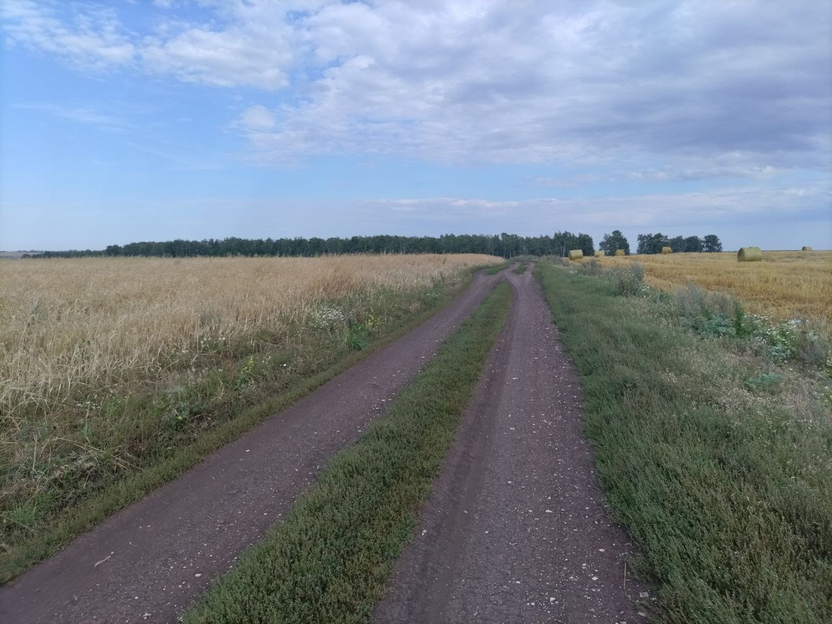 Фото автора.