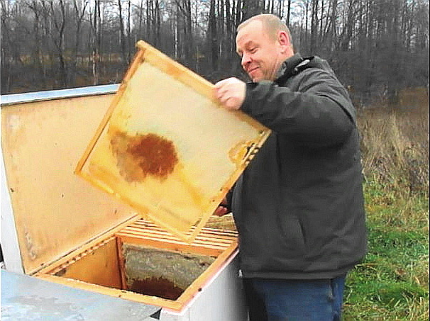 Отбор мёда приятная работа