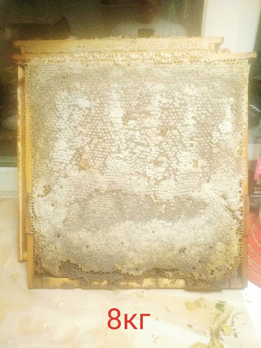 Полномёдная рамка 460мм. Макимальный вес 8кг, как правило от 2 до 7 кг.