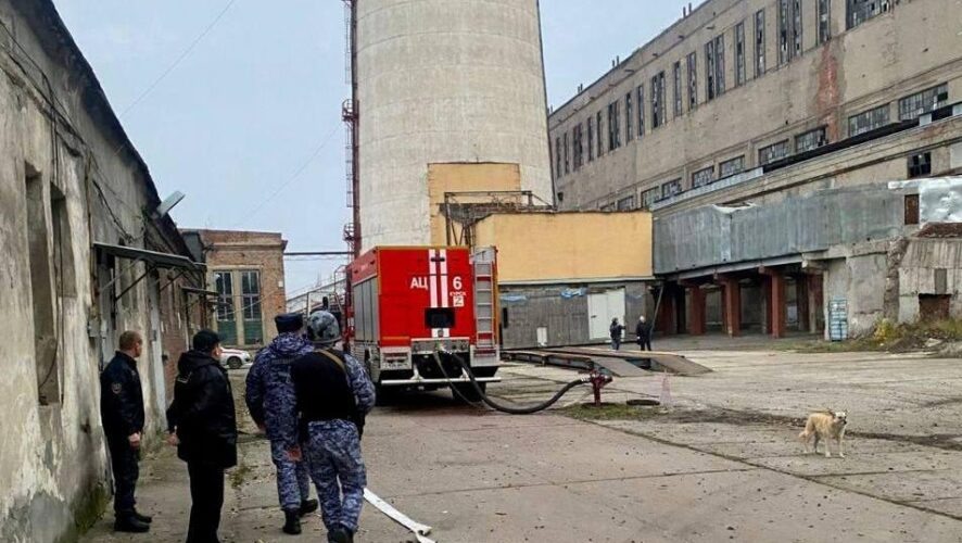    Фото: соцсети