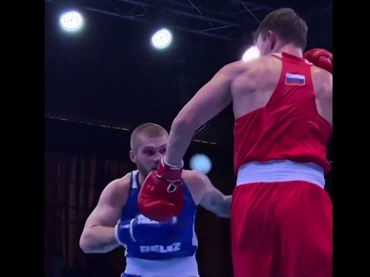     Фото: телеграм-канал «Федерация бокса Курской области»