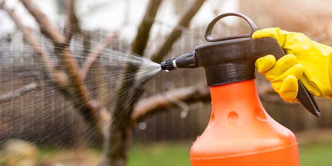 Безопасна ли искореняющая обработка сада мочевиной в ноябре