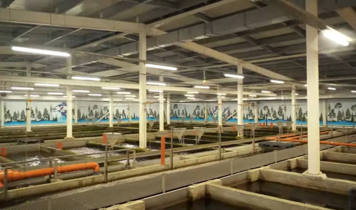 Создать карусель