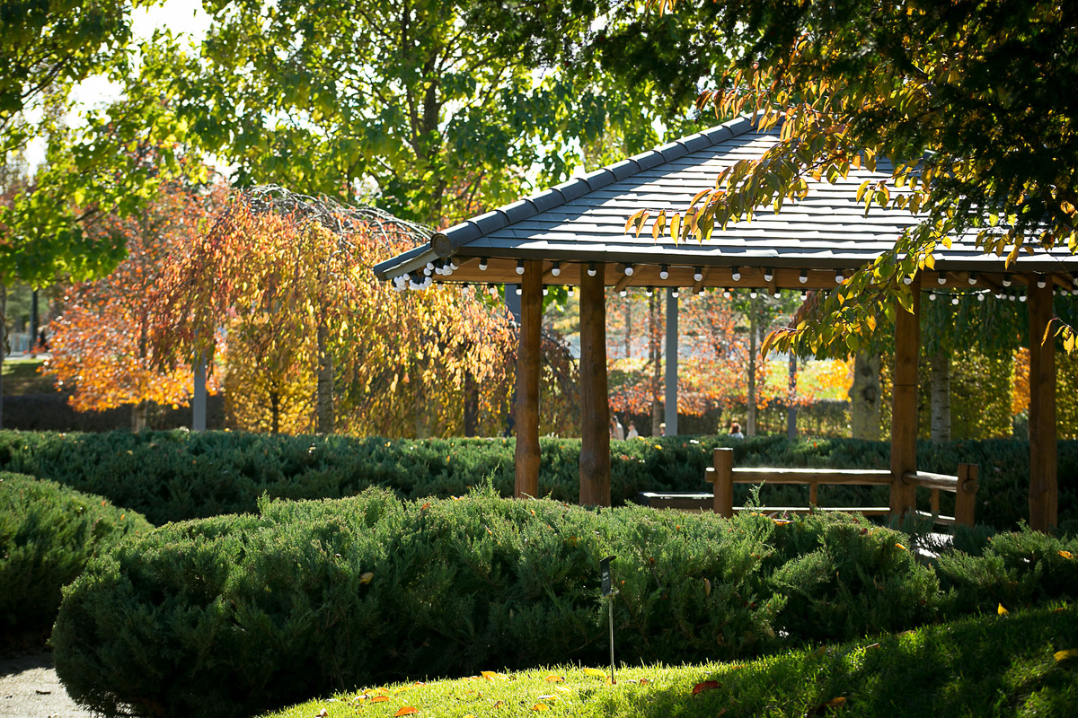 Автор фото Елена Якимова / Greenfingers