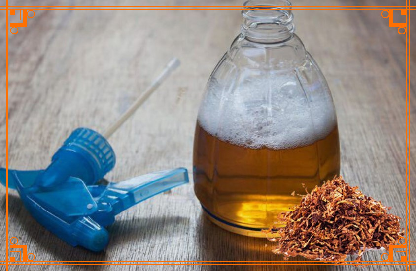 Фото из интернета. табачная пыль