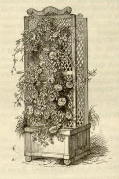 Деревянная мобильная шпалера. Рисунок из журнала "Flore des serres et des Jardins de l'Europe".