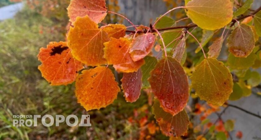   В Сыктывкаре зафиксирован новый температурный максимум