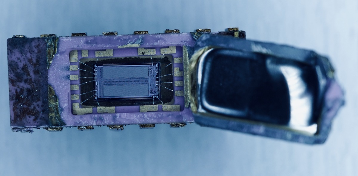 Фото X (CPU Duke)  📷
