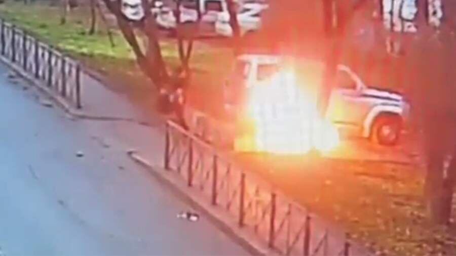    Фото: ГУ МВД России по Московской области