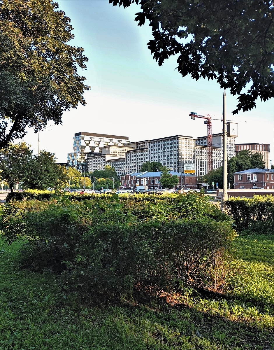 Фото автора.