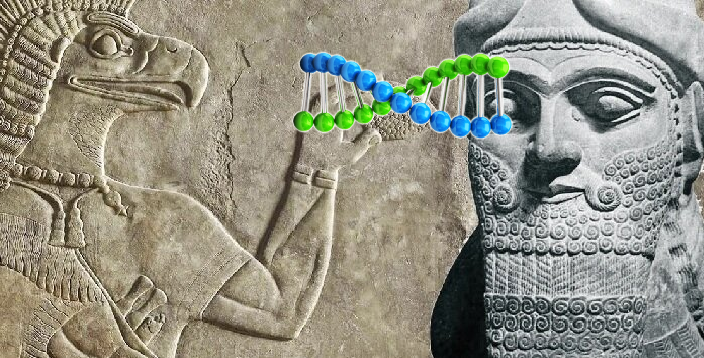 Какую роль сыграли в создании человека существа из Шумерской хроники и Ветхого завета?