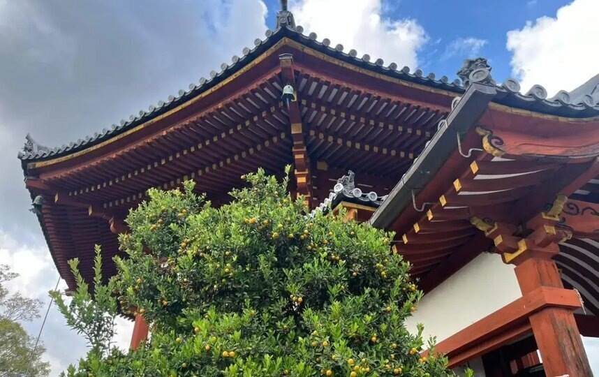    Филипп Сливков