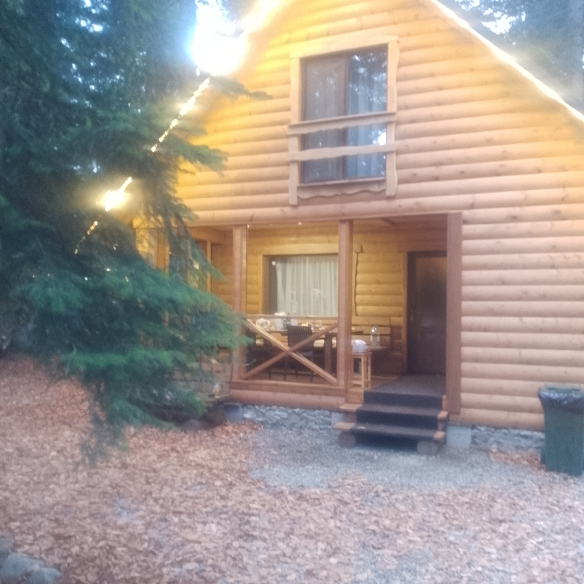 Выбрались с семьей отдохнуть