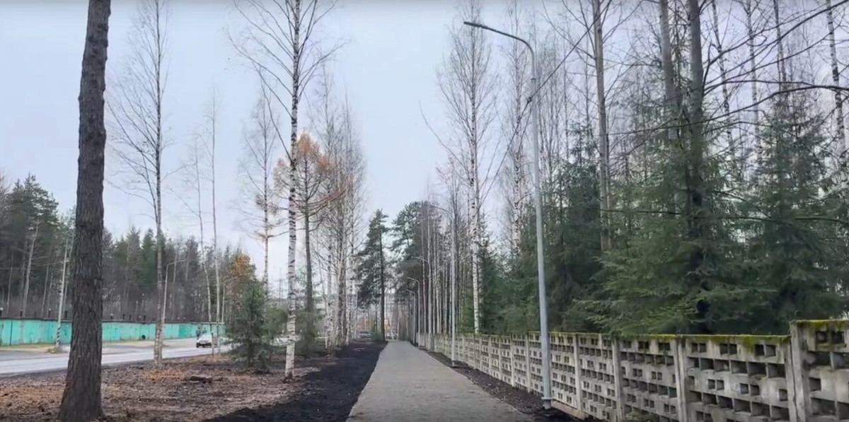    Фото: со страницы Инны Колыхматовой