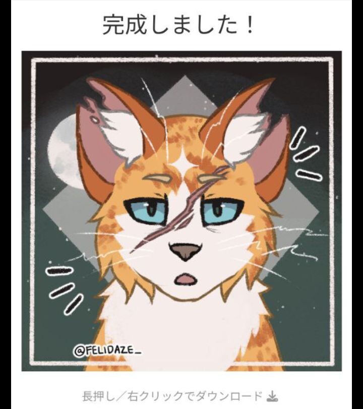 его внешность