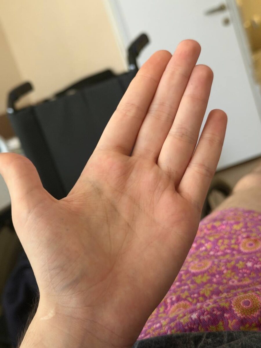 Фото с моего канала Дзен. 